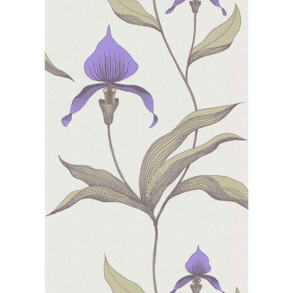 664024Cs0 Orchid White M Cole Son Wallpaper - COLE & SON Wallpaper
