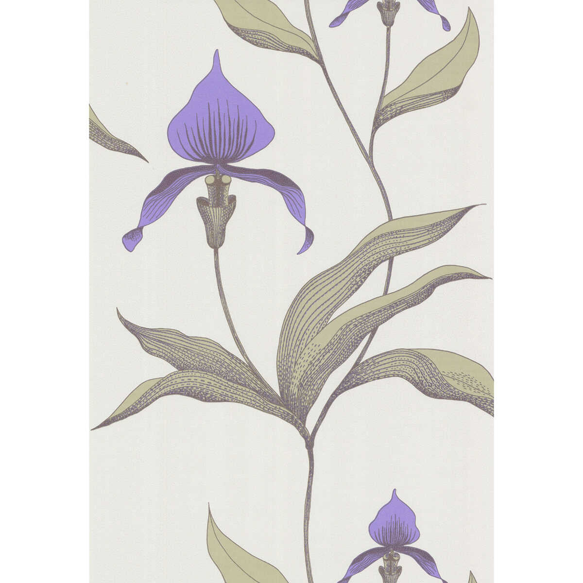 Orchid - White/M - COLE & SON Wallpaper
