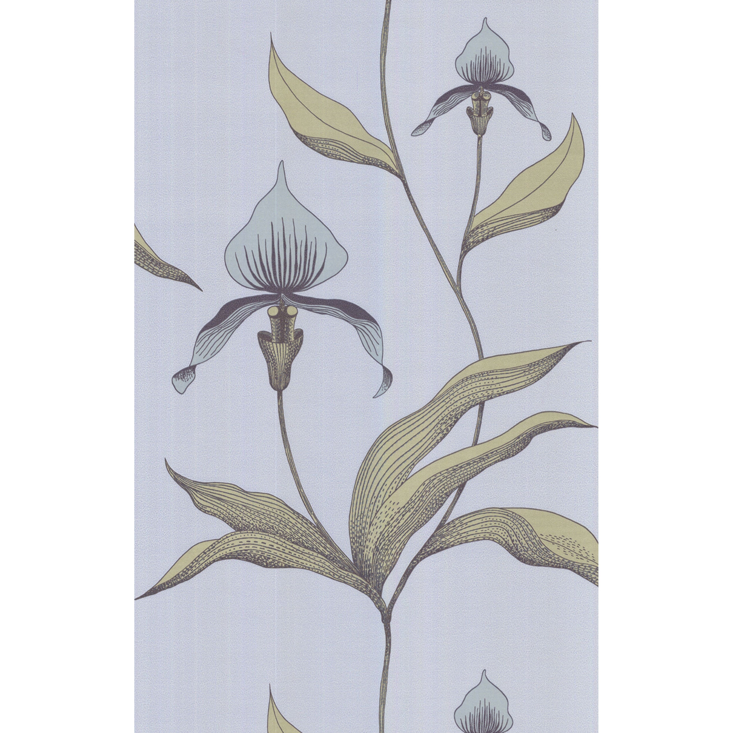 Orchid - Blue Gr - Cole & Son Wallpaper
