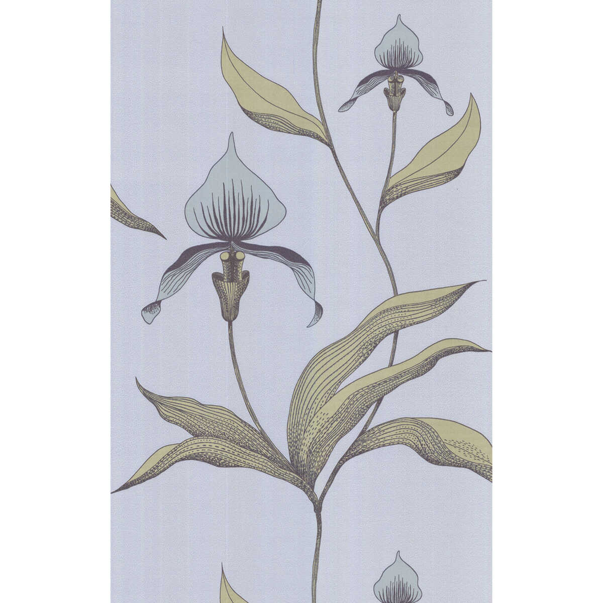 Orchid - Blue Gr - COLE & SON Papel pintado