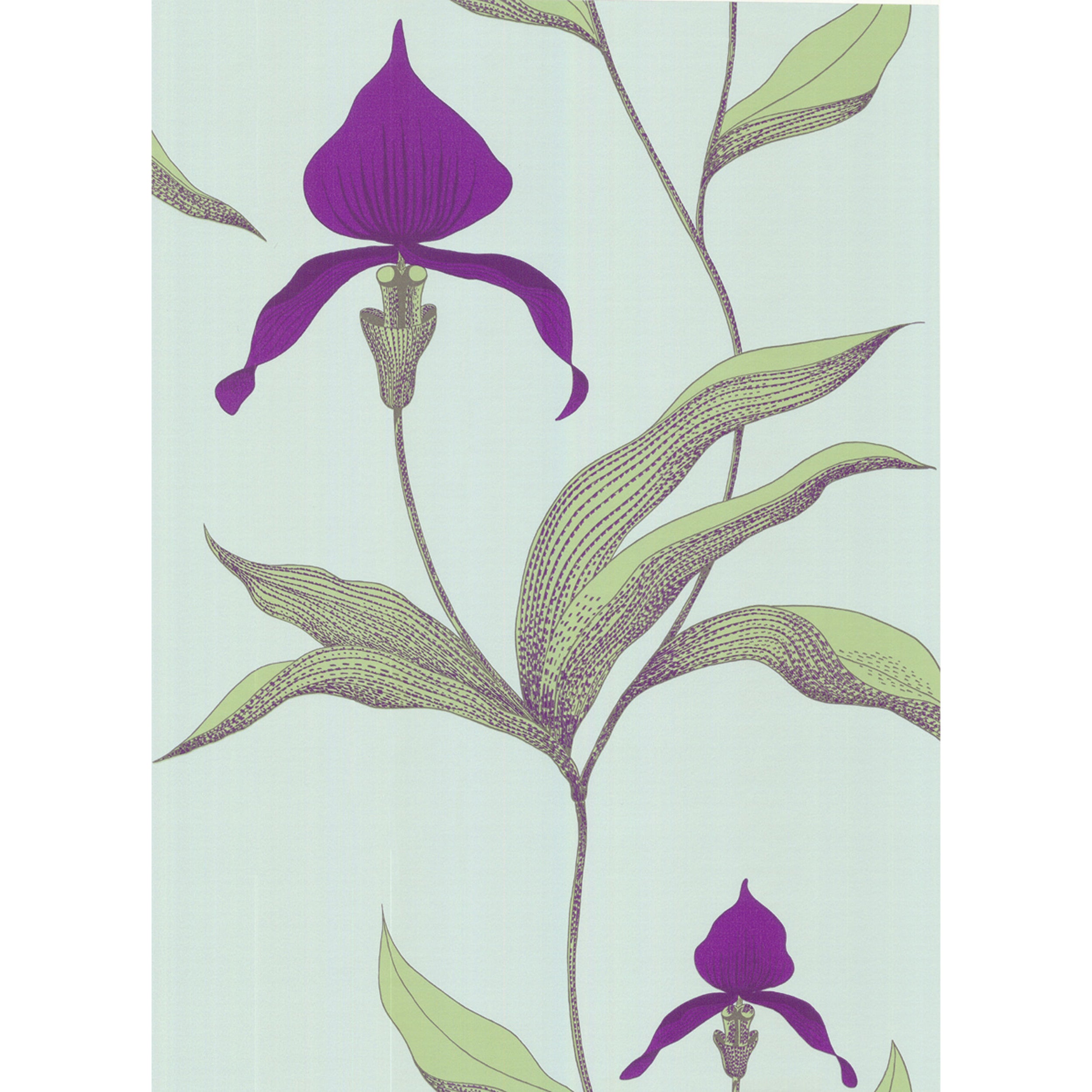 Orchid - Turquoi - Cole & Son Wallpaper