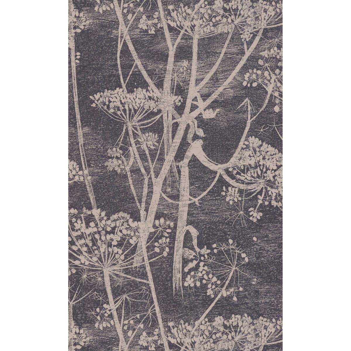 Cow Parsley - Taupe/B - COLE & SON Wallpaper
