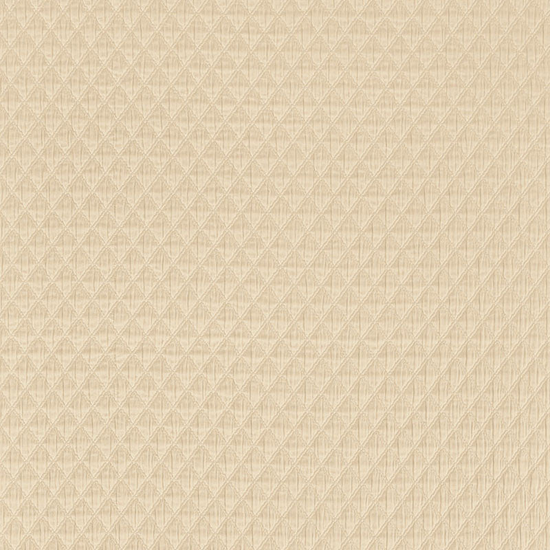 LUCCA-MATELASS-PUTTY-SCHUMACHER-66581