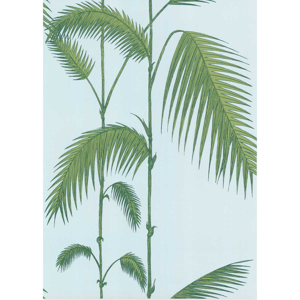 Palm Leaves - Pale Bl - COLE & SON Wallpaper