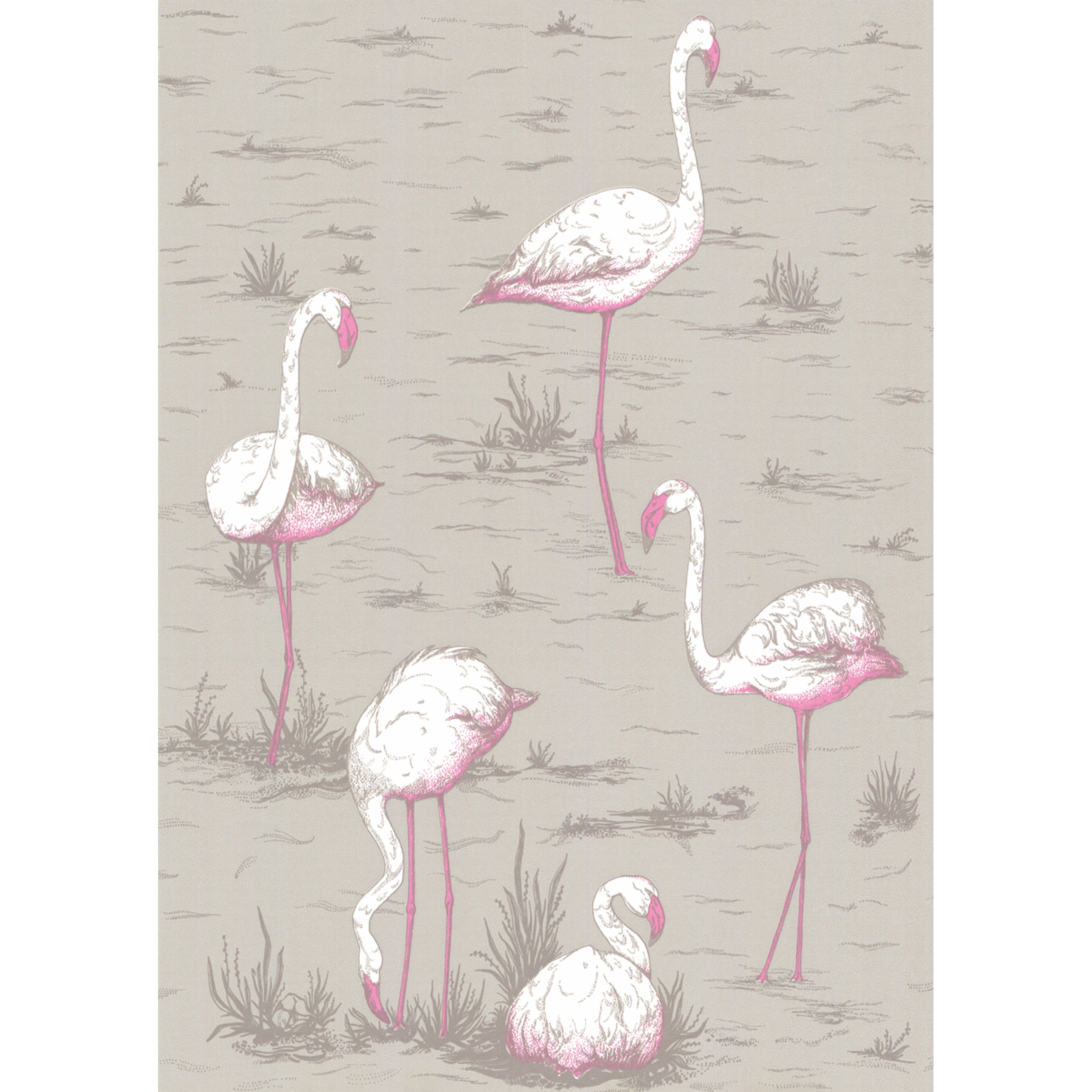Flamingos - Grey - Cole & Son Wallpaper
