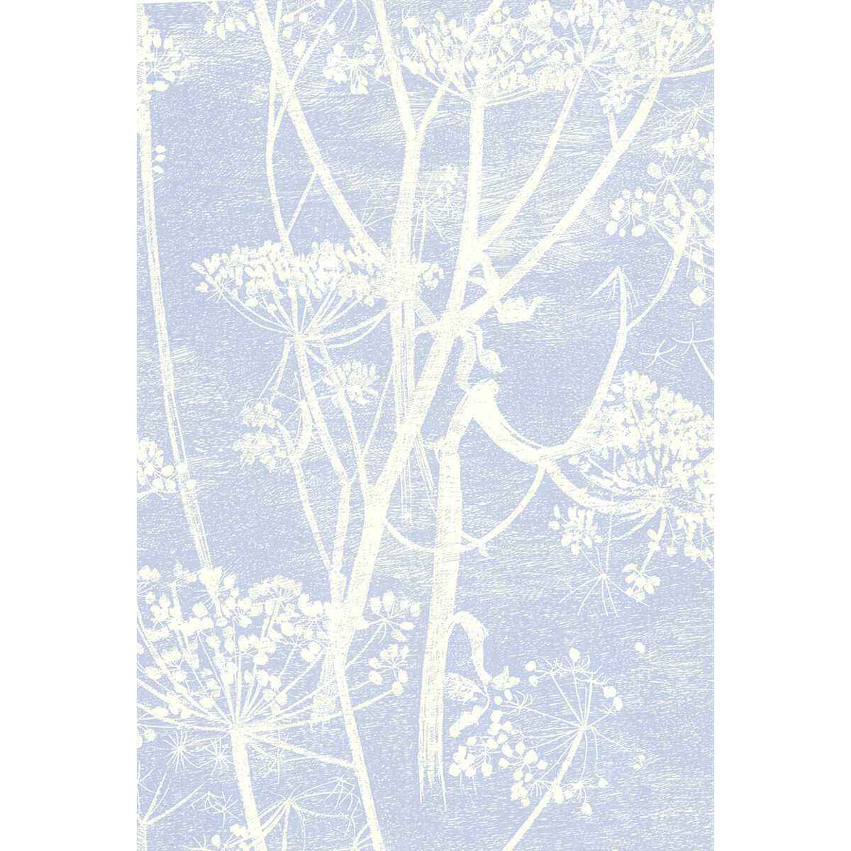667050Cs0 Cow Parsley White Blu Cole Son Wallpaper