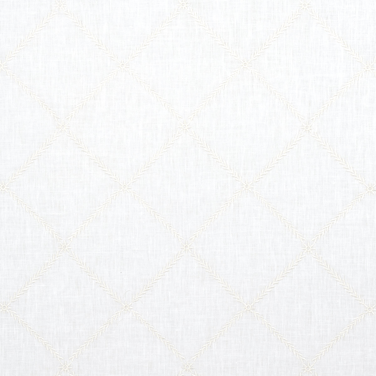 GEMMA-SHEER-BLANC-SCHUMACHER-67180