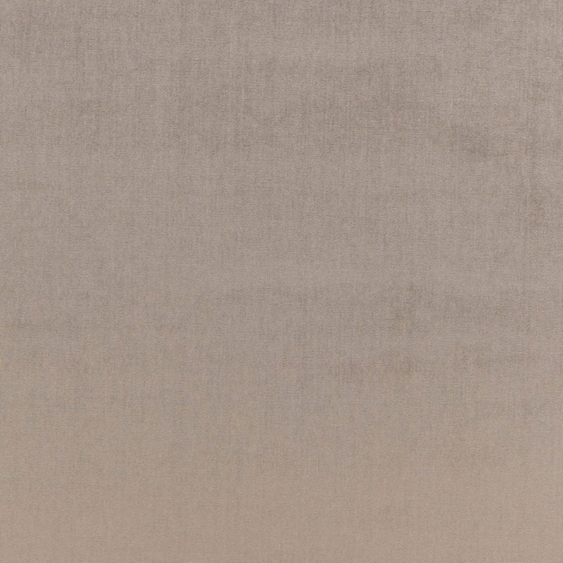 SOPHIA-VELVET-NICKEL-SCHUMACHER-68163