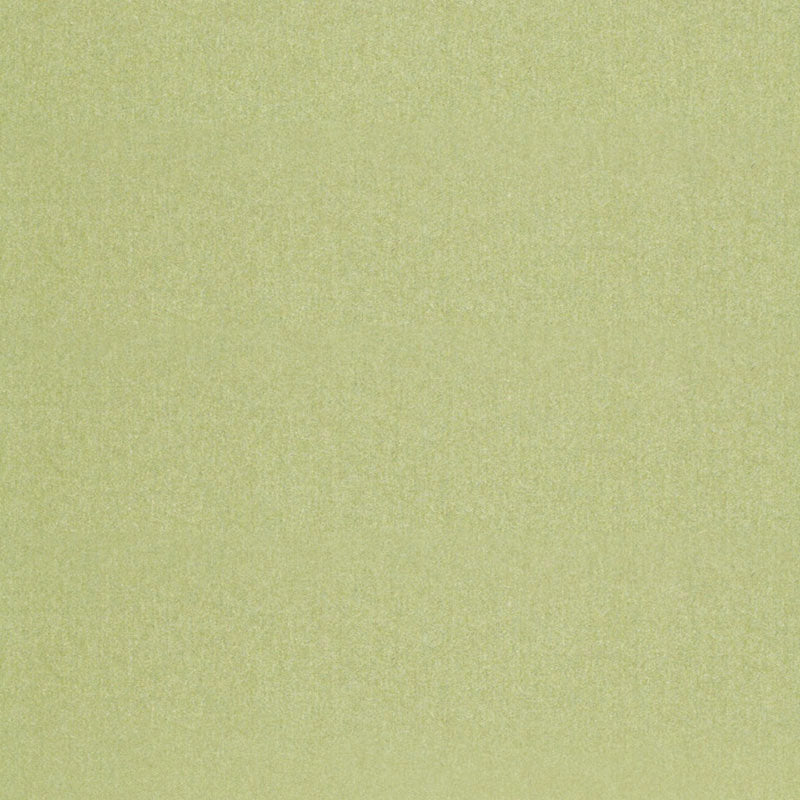 CHESTER-WOOL-ALOE-SCHUMACHER-68539