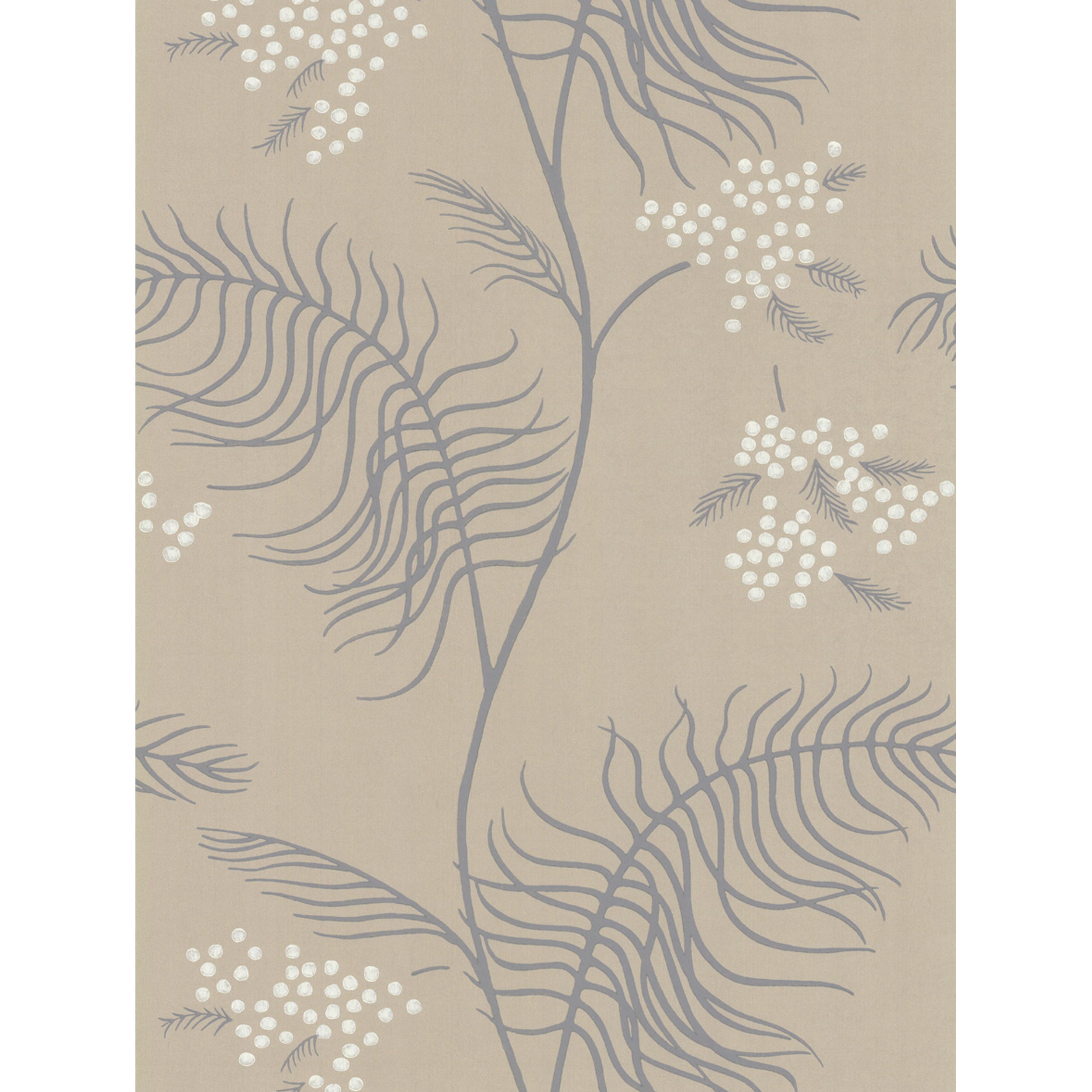 Mimosa - Sandstone - Cole & Son Wallpaper