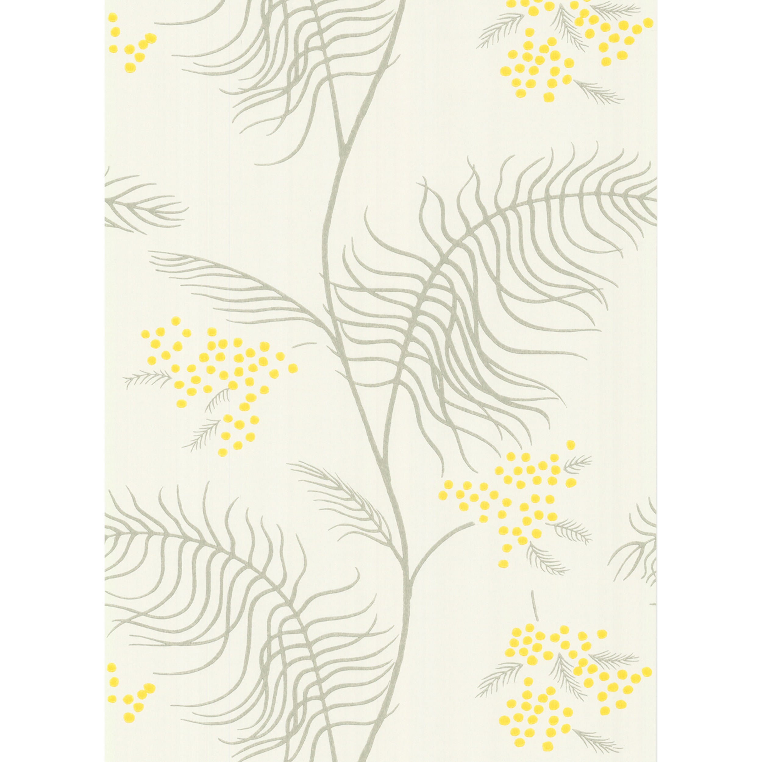 Mimosa - White - Cole & Son Wallpaper