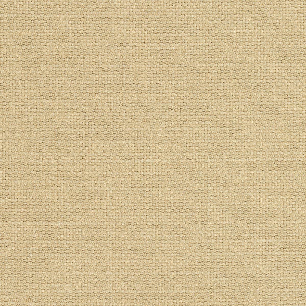 LANGHAM-HIGH-PERFORMANCE-UNION-CAMEL-SCHUMACHER-69616