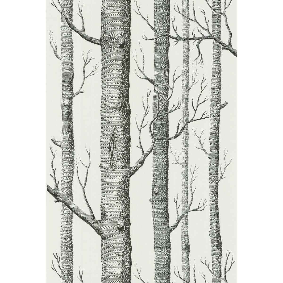 6912147Cs0 Woods Onyx White Cole Son Wallpaper
