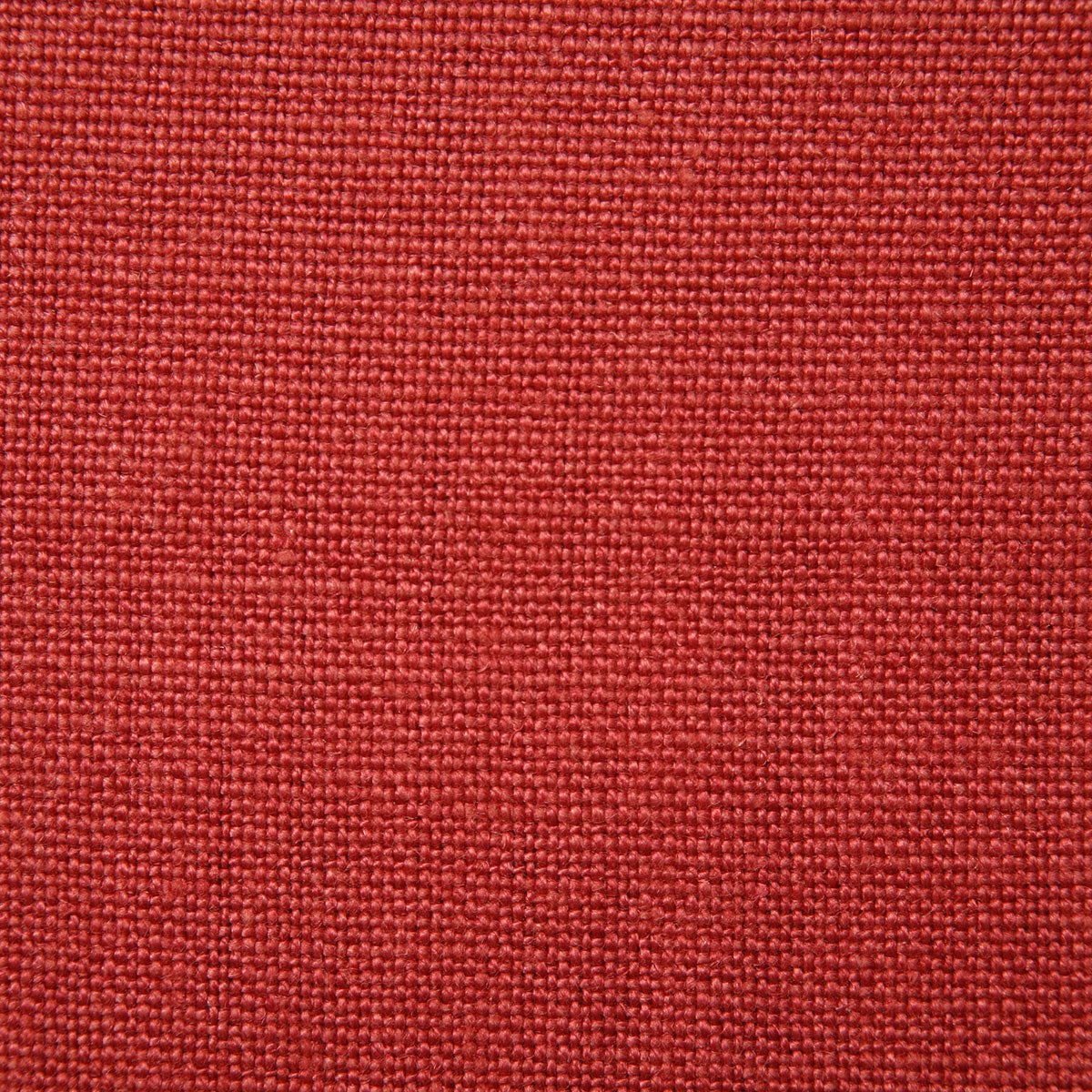 7023-arnaud-azalea-pindler