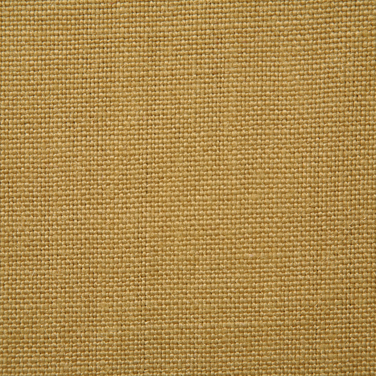 7023-arnaud-golden-pindler