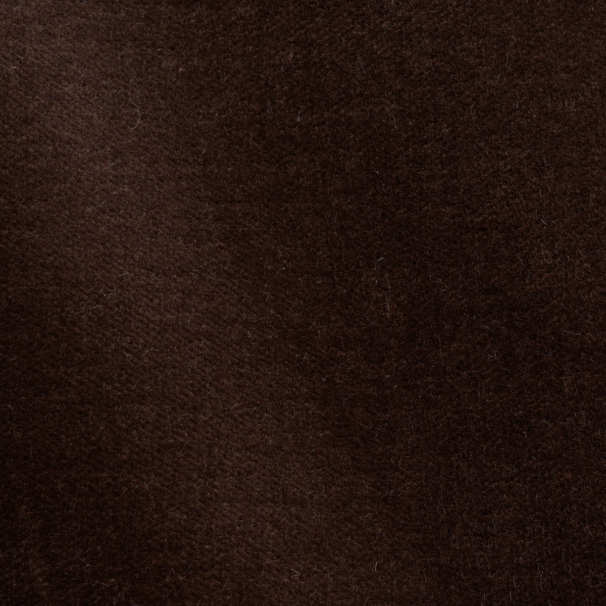 ROCKY-PERFORMANCE-VELVET-ESPRESSO-SCHUMACHER-70466 - Schumacher Fabric