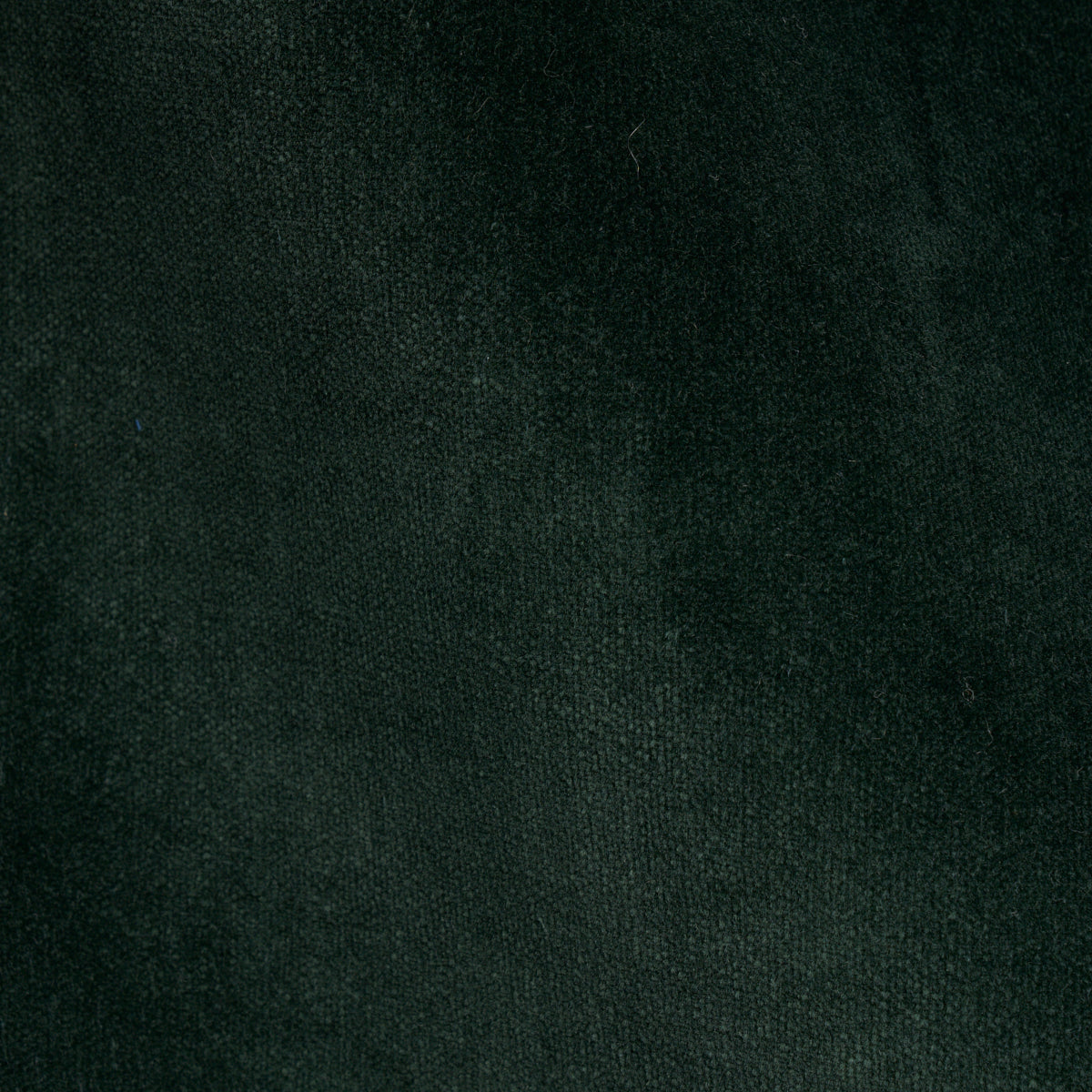 ROCKY-PERFORMANCE-VELVET-PINE-SCHUMACHER-70489 - Schumacher Fabric