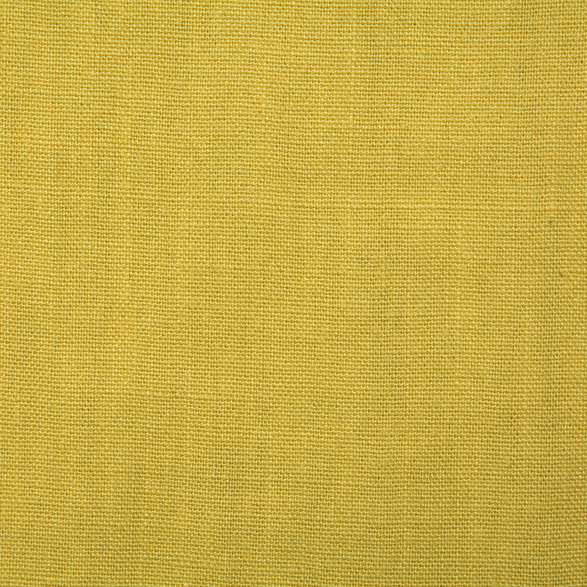7048-bennington-citron-pindler