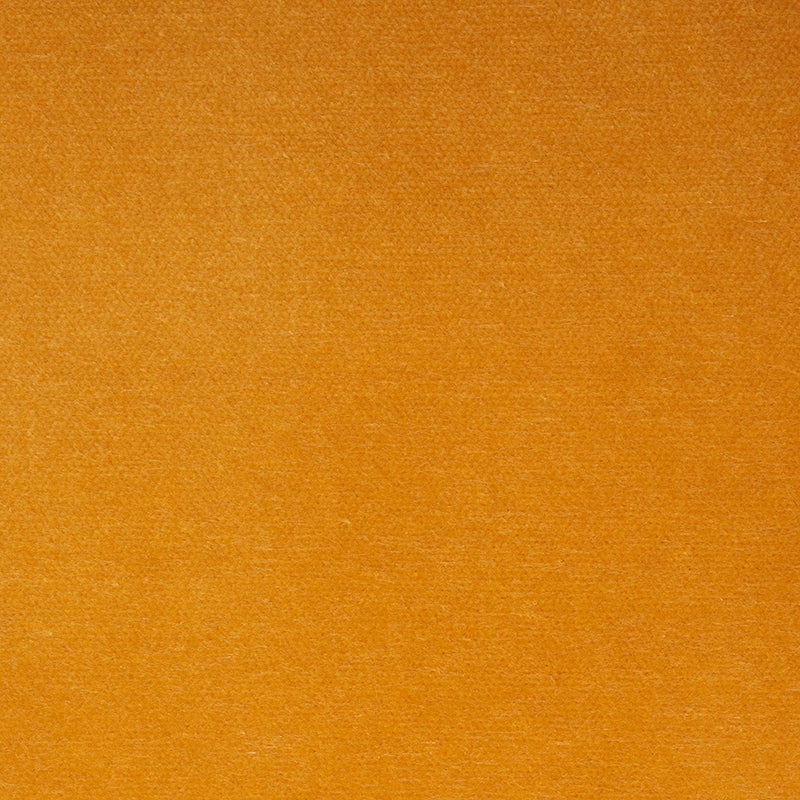 ROCKY-PERFORMANCE-VELVET-MARIGOLD-SCHUMACHER-70579 - Schumacher Fabric