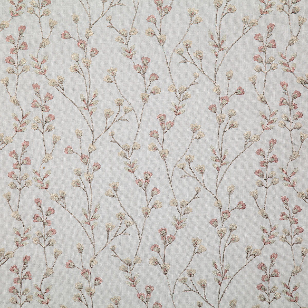 7078-amelia-cameo-pindler