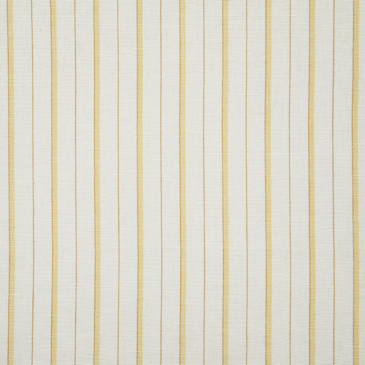 7108-teagan-daffodil-pindler