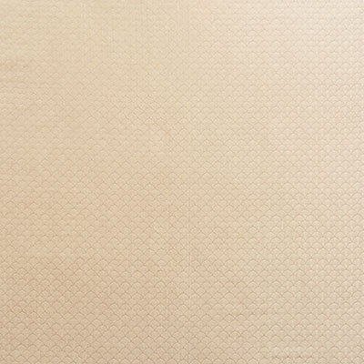 ASHTON-CHAMPAGNE-SCHUMACHER-71621