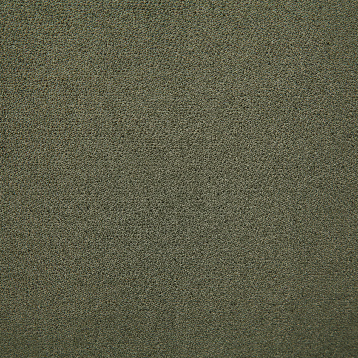 7175-athena-lichen-pindler