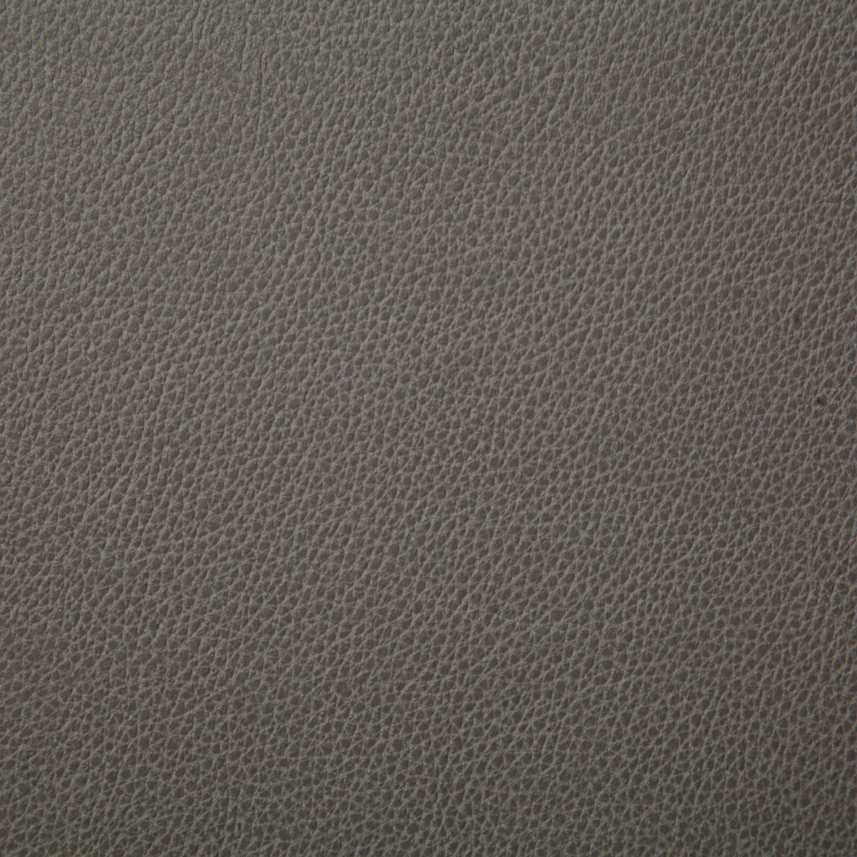 7225-sanders-cinder-pindler