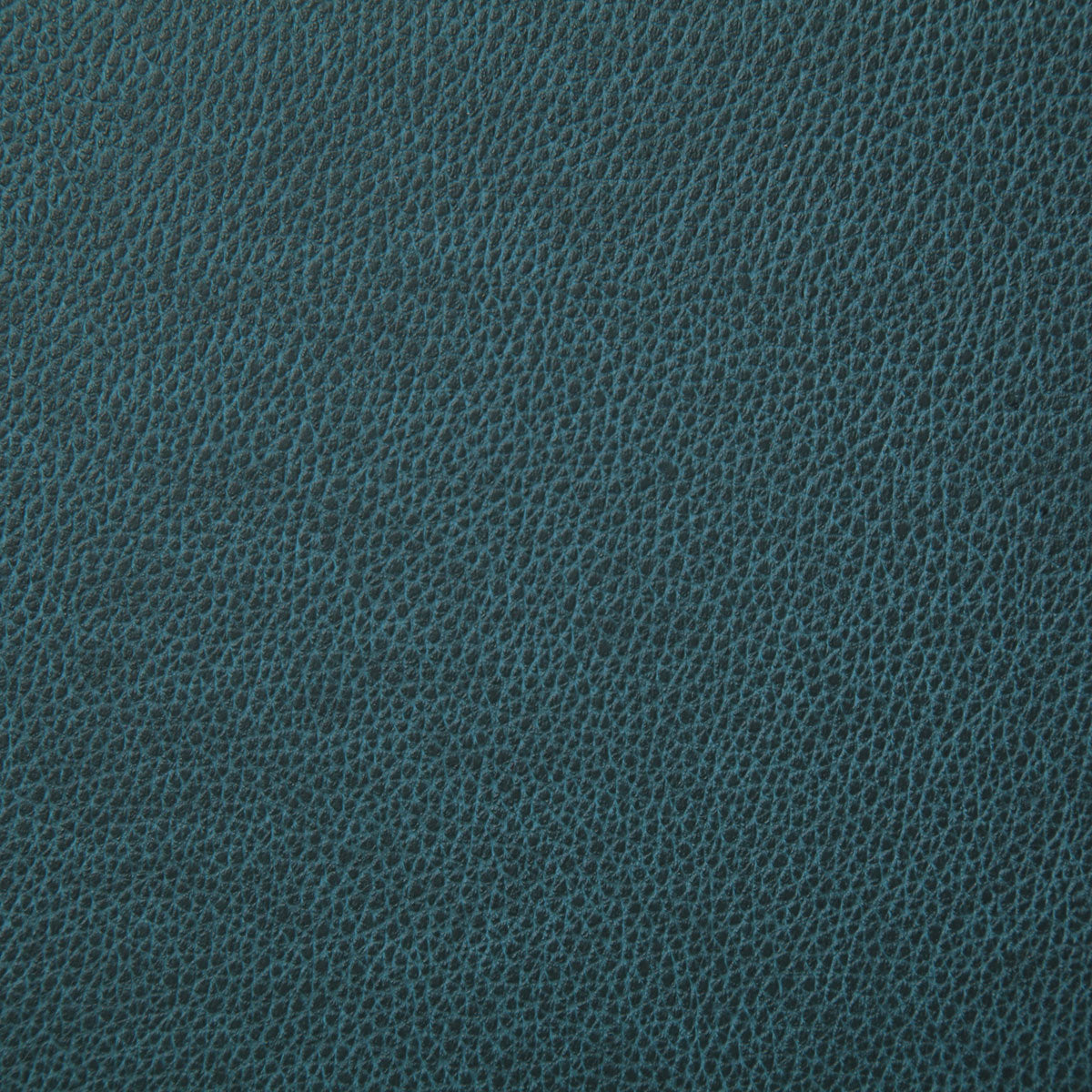 7225-sanders-grotto-pindler