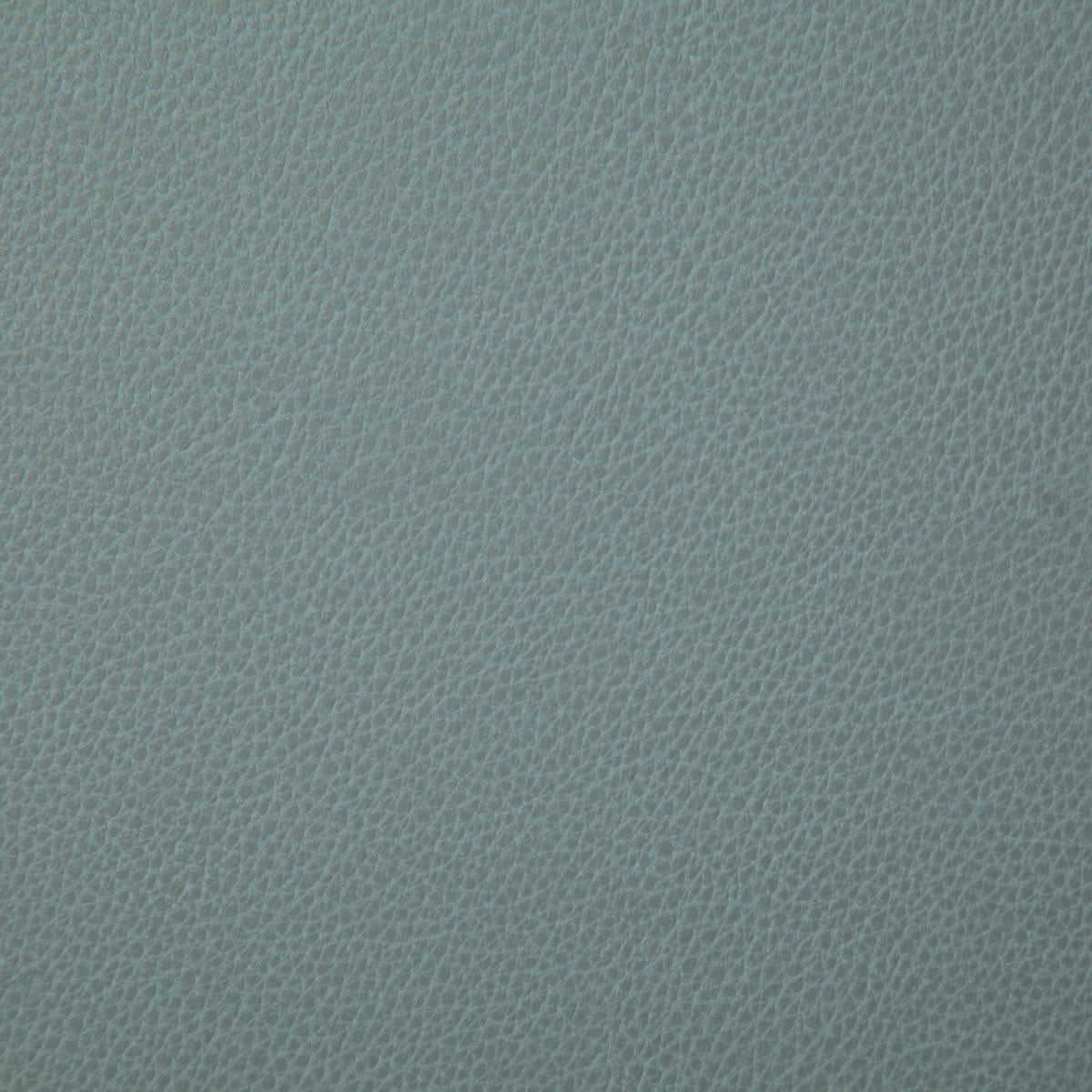 7225-sanders-mist-pindler