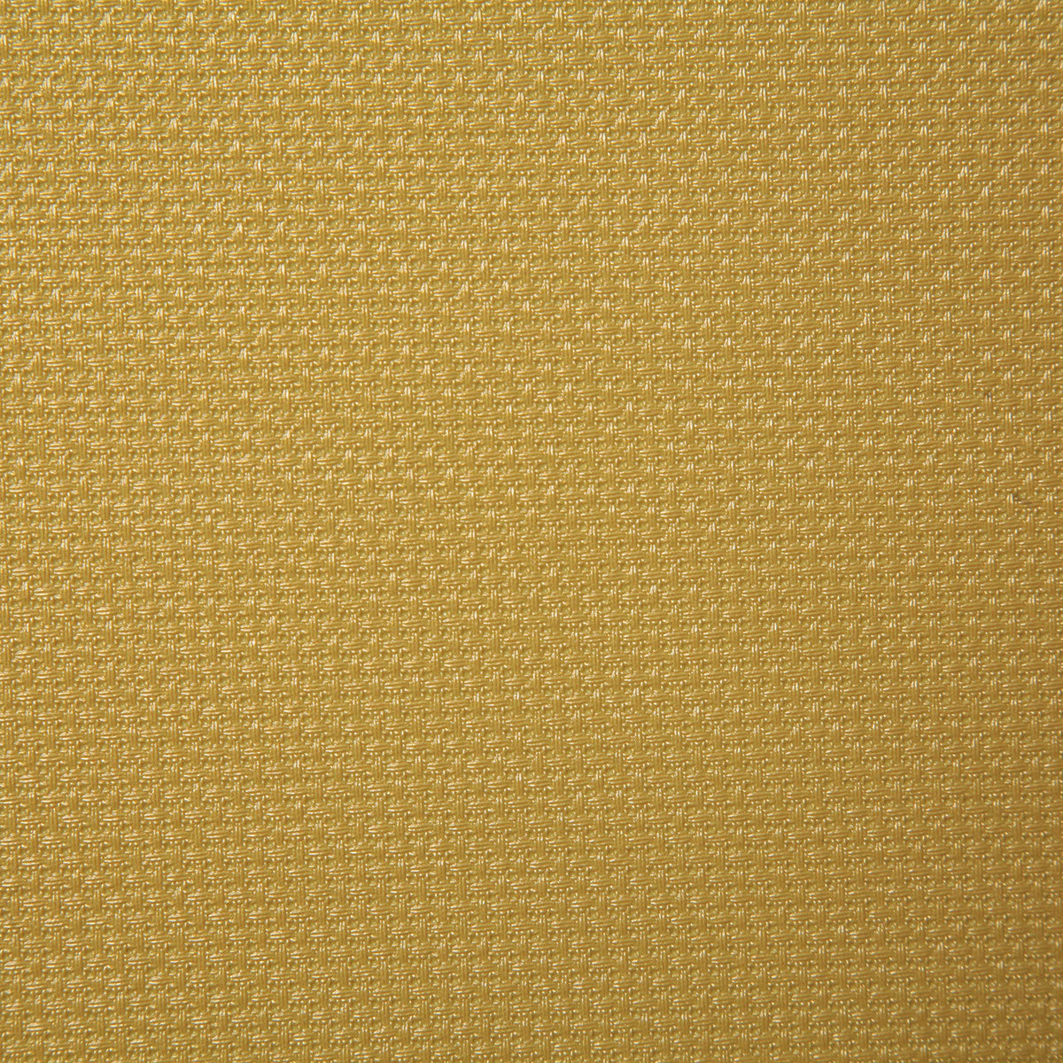 7226-mast-marigold-pindler