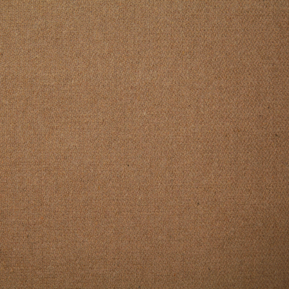 7238-claiborne-camel-pindler