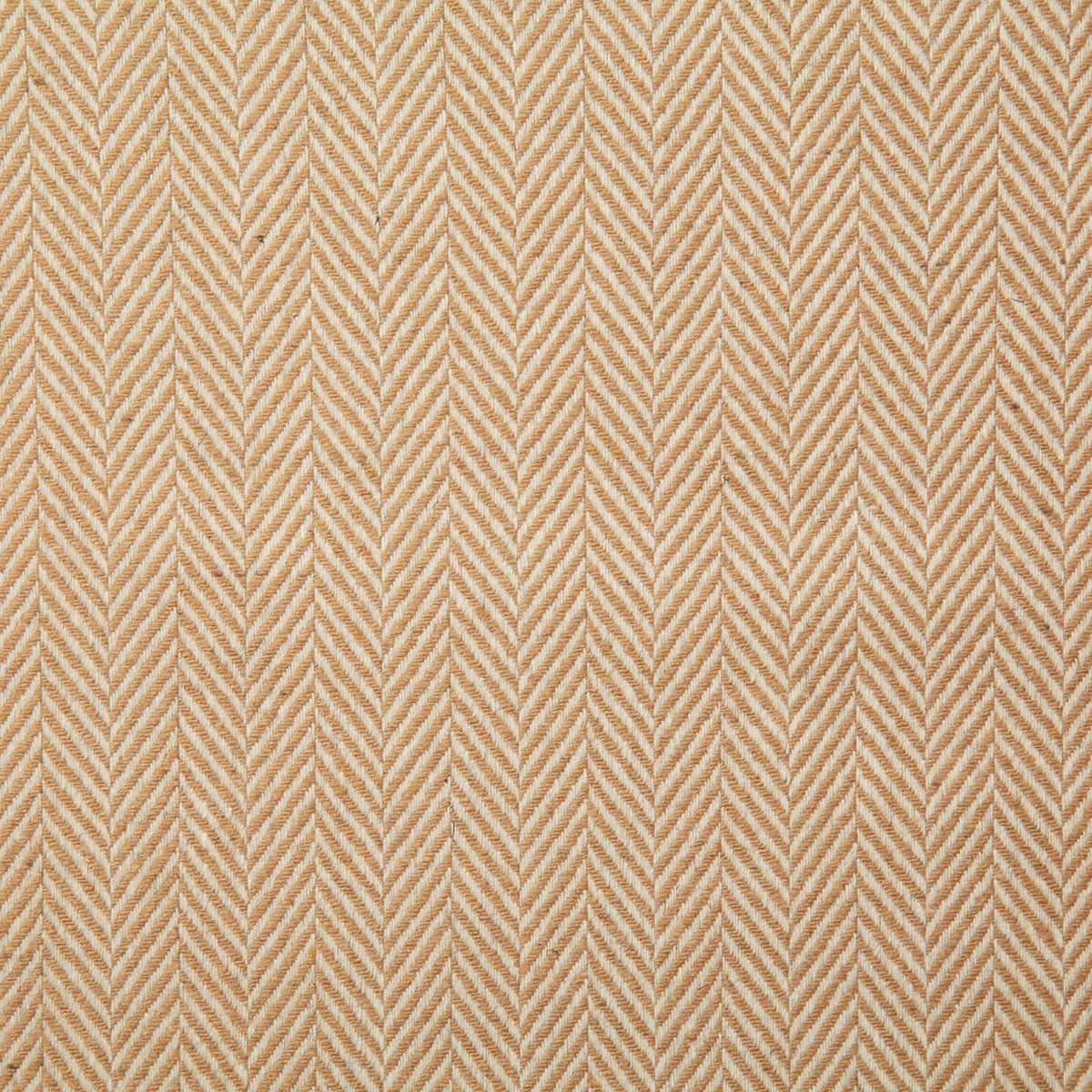 7240-ellis-camel-pindler