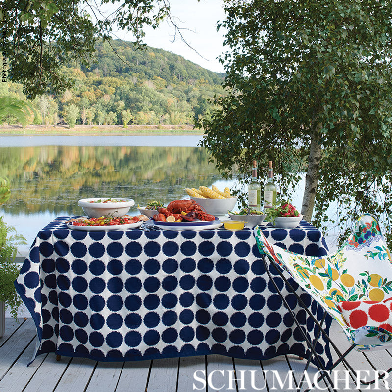 ASHWOOD-TAPE-INDOOR-OUTDOOR-NAVY-SCHUMACHER-72415 - Schumacher Recortar