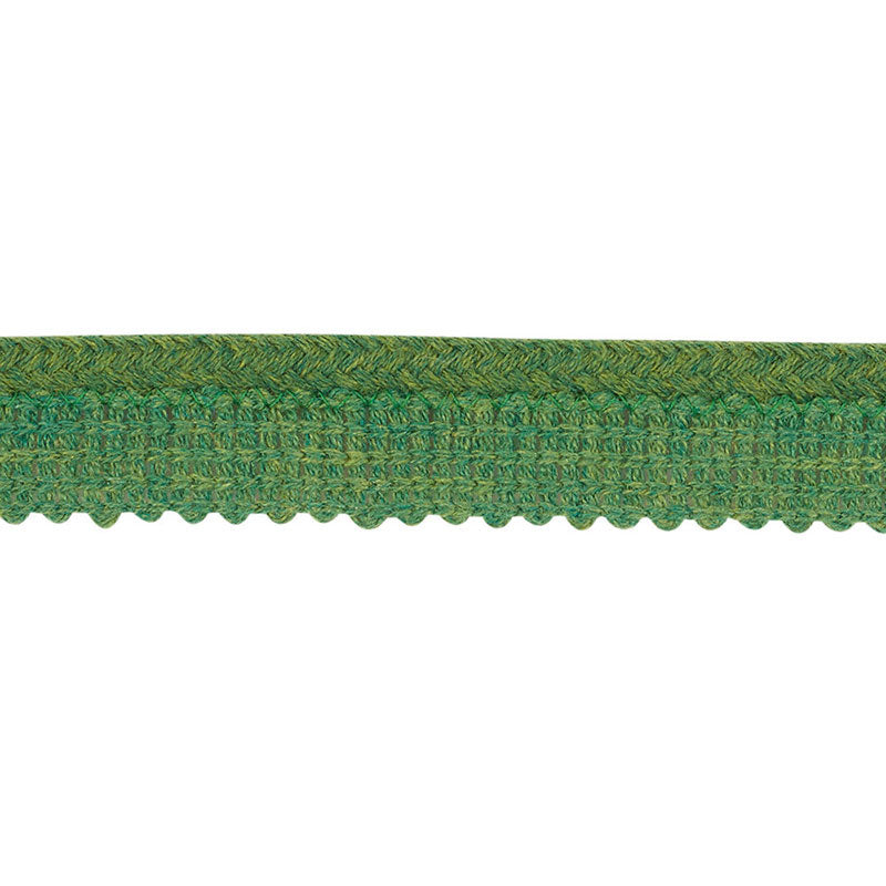 EUBIE-LIP-CORD-INDOOR-OUTDOOR-GREEN-SCHUMACHER-72424 - Schumacher Trim