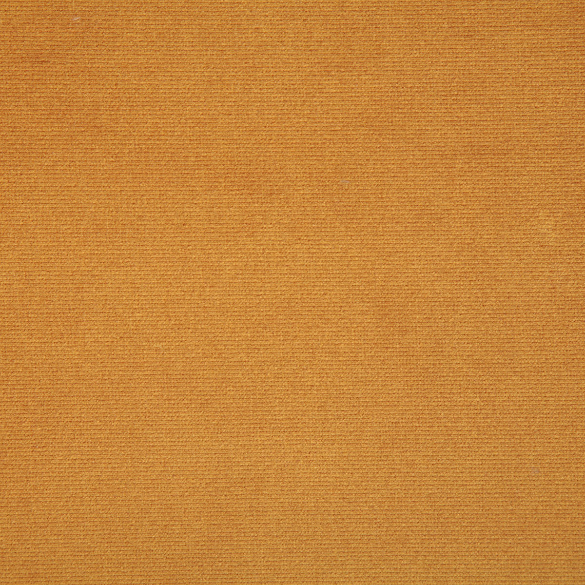 7245-emerson-saffron-pindler - Pindler Tela