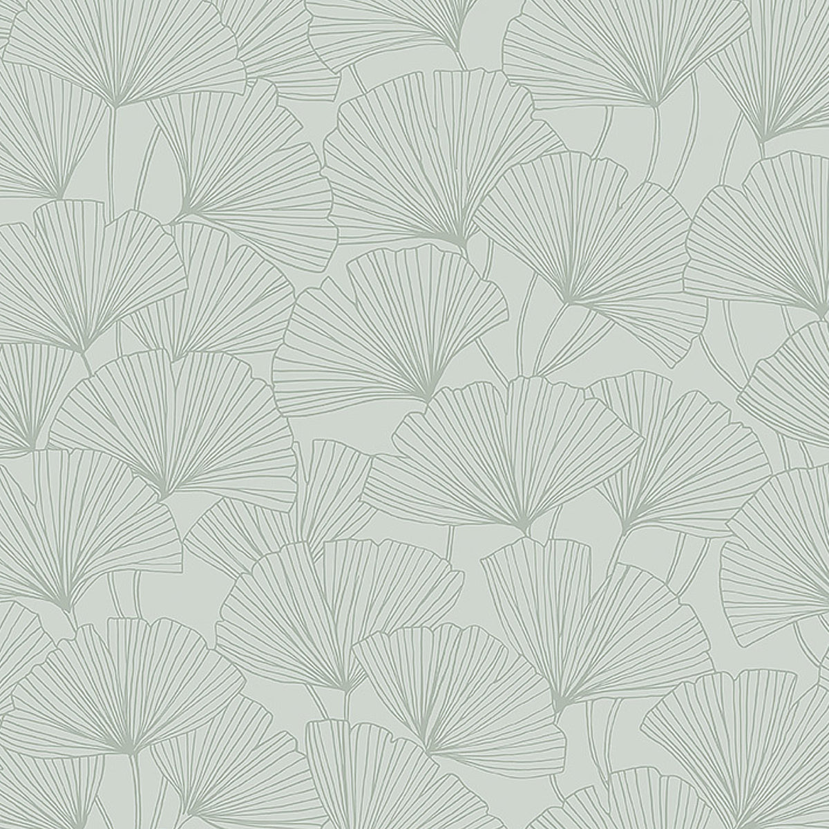 GINKGO-MINERAL-SCHUMACHER-7265