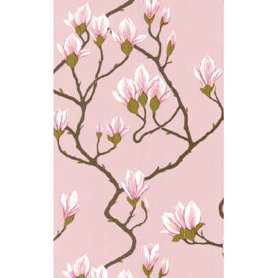 Magnolia Wp - Pink - Cole & Son Wallpaper