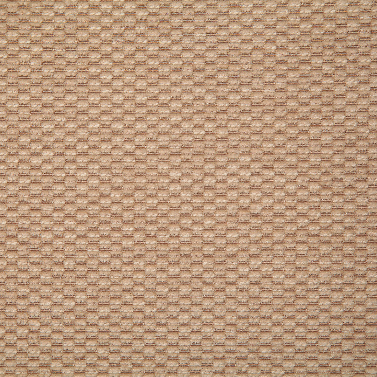 7330-marion-fawn-pindler