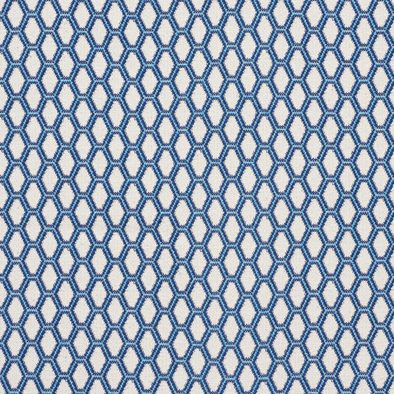 BEEHIVE-BLUE-SCHUMACHER-73420
