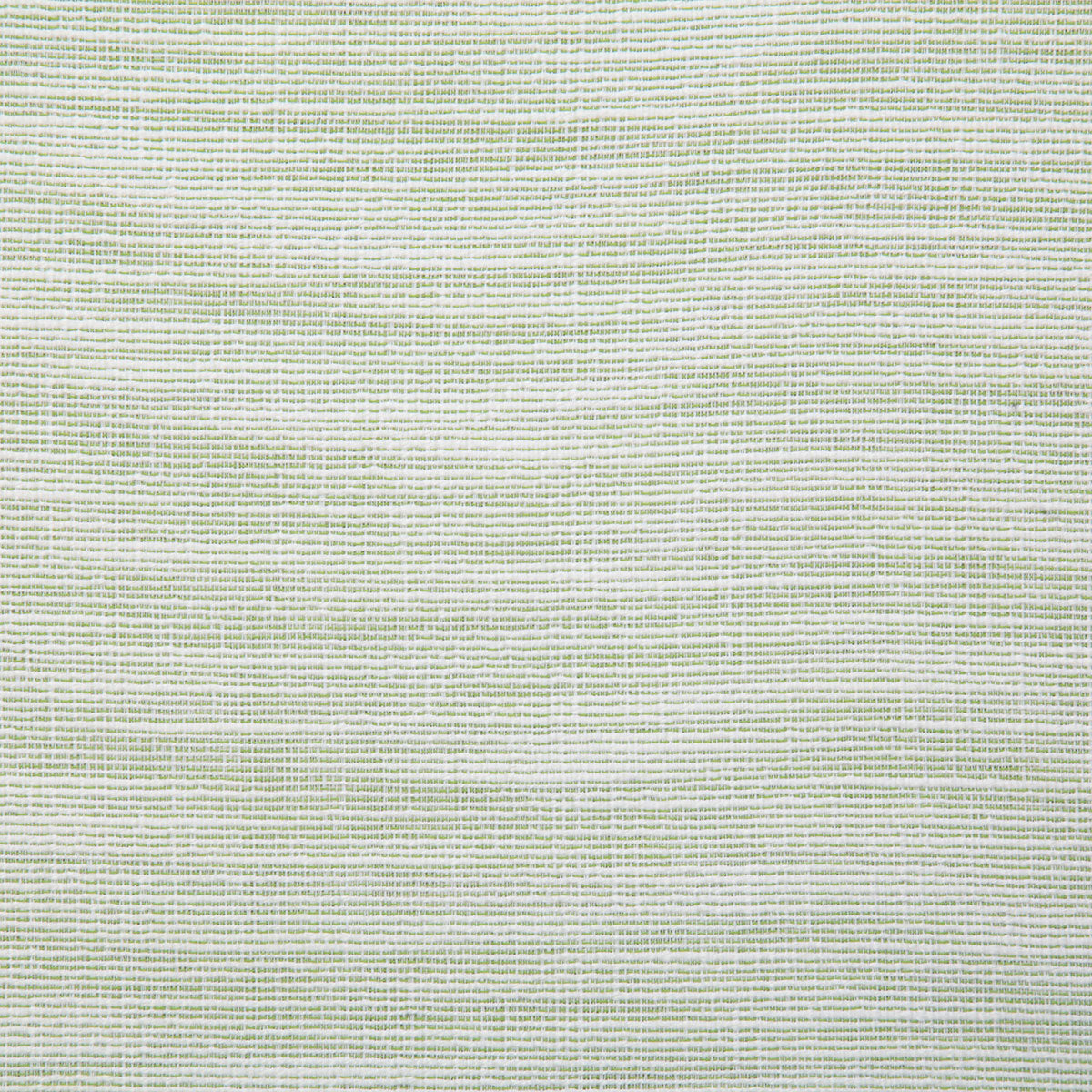 7383-cannes-palm-pindler