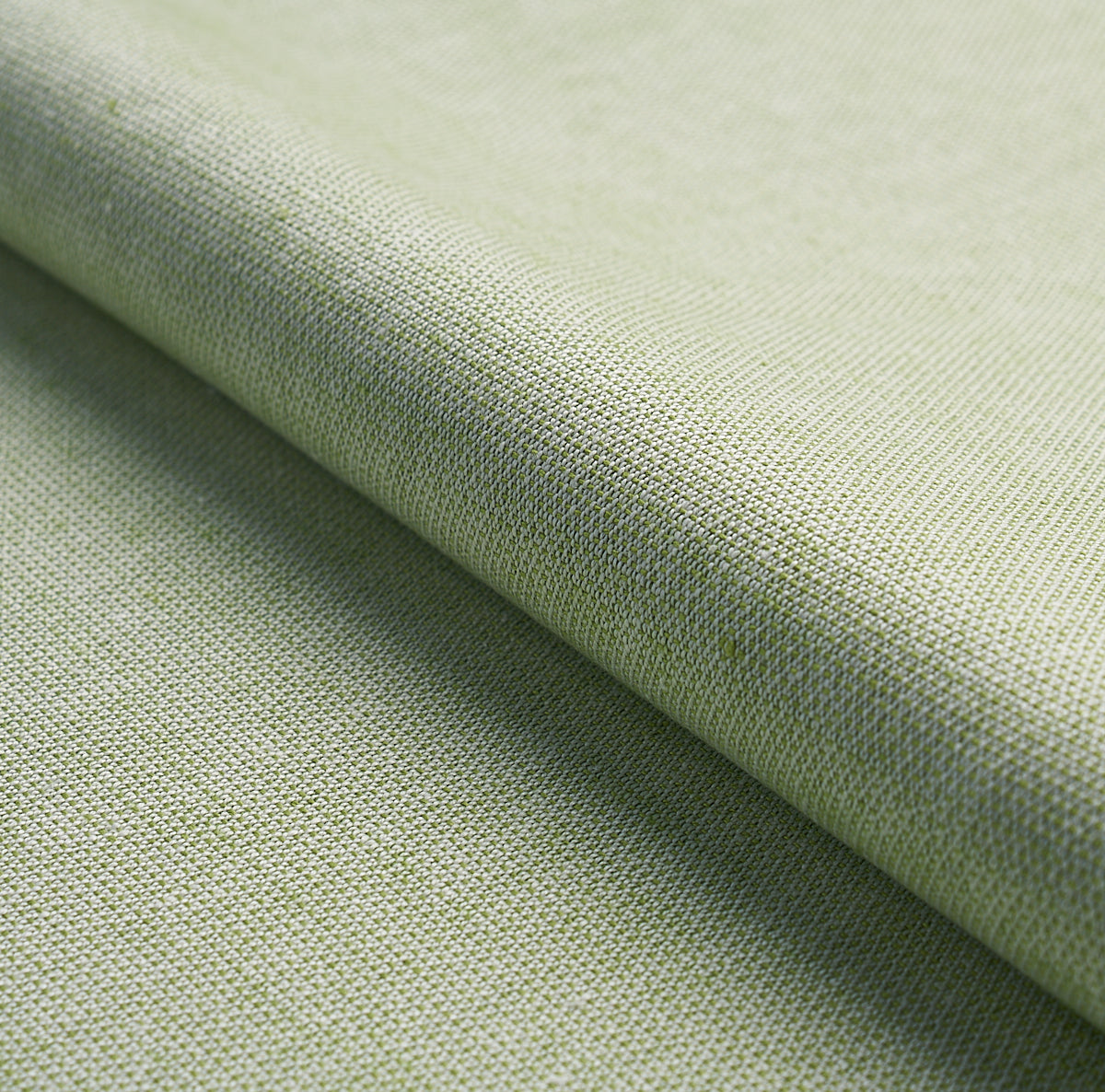 CAMARILLO-WEAVE-INDOOR-OUTDOOR-LEAF-SCHUMACHER-73876 - Schumacher Tela