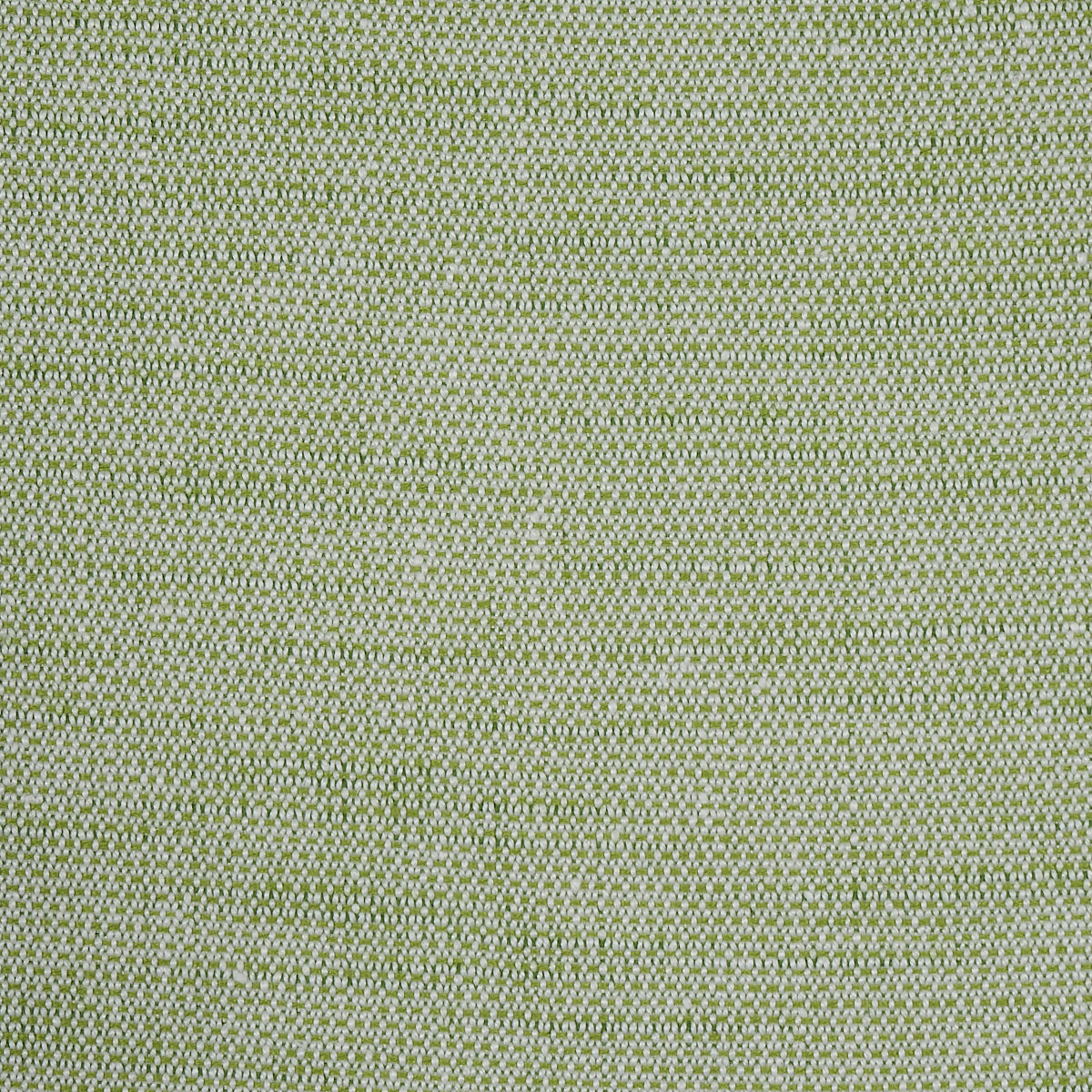 CAMARILLO-WEAVE-INDOOR-OUTDOOR-LEAF-SCHUMACHER-73876 - Schumacher Tela