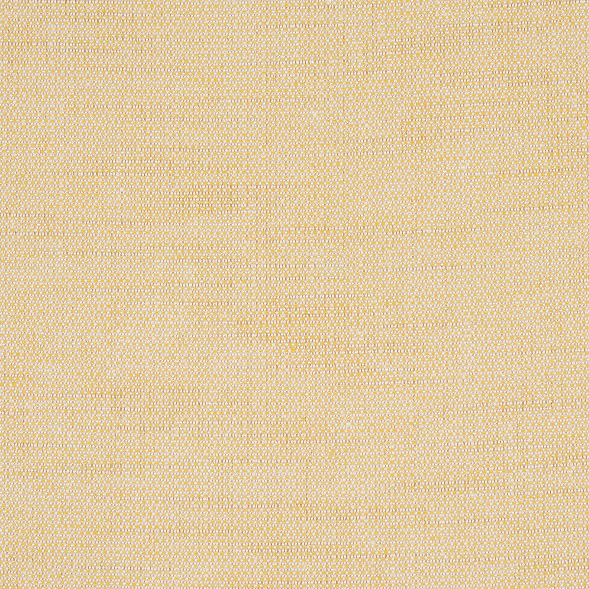 CAMARILLO-WEAVE-INDOOR-OUTDOOR-YELLOW-SCHUMACHER-73877 - Schumacher Fabric