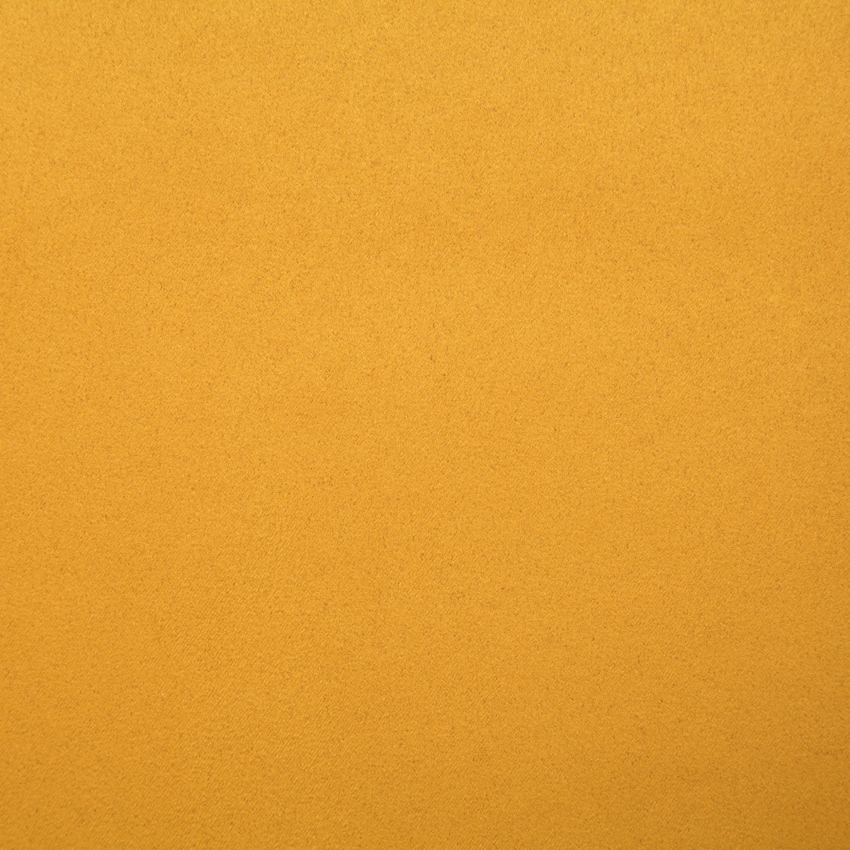 7399-mustang-marigold-pindler