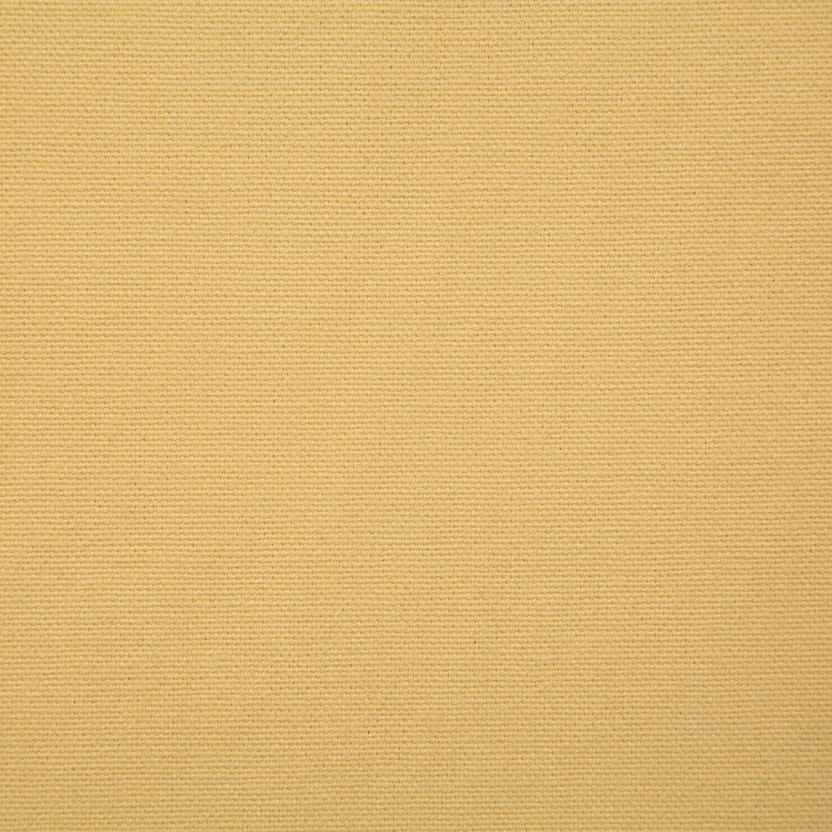 7415-hutton-dandelion-pindler - Pindler Tela