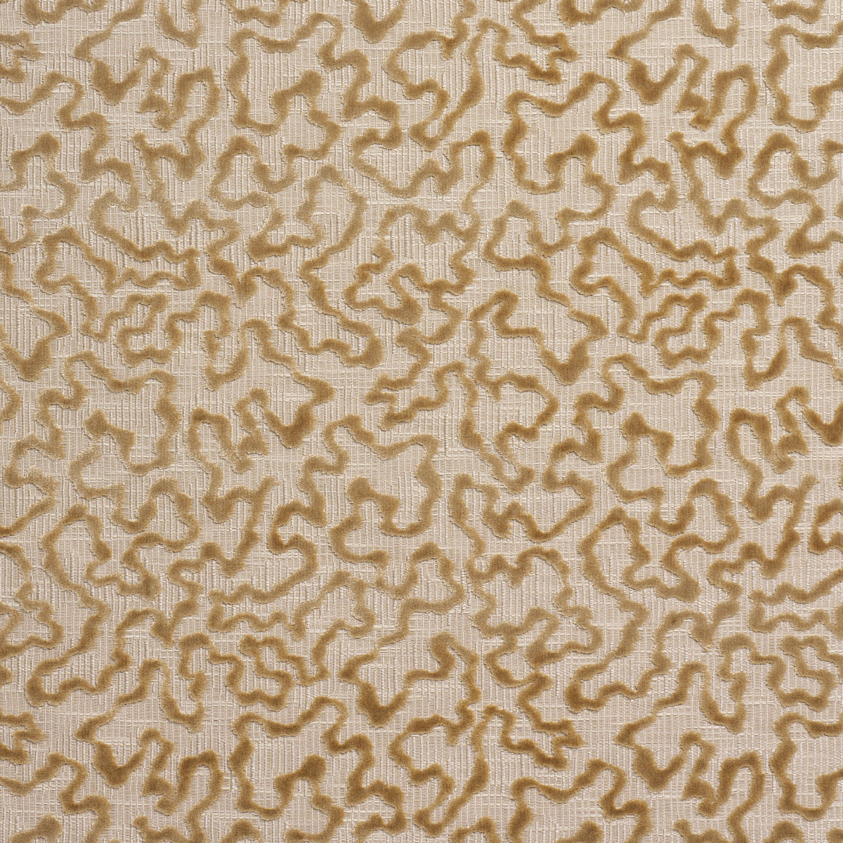 JANIS-VELVET-CHAMPAGNE-SCHUMACHER-75224 - Schumacher Fabric