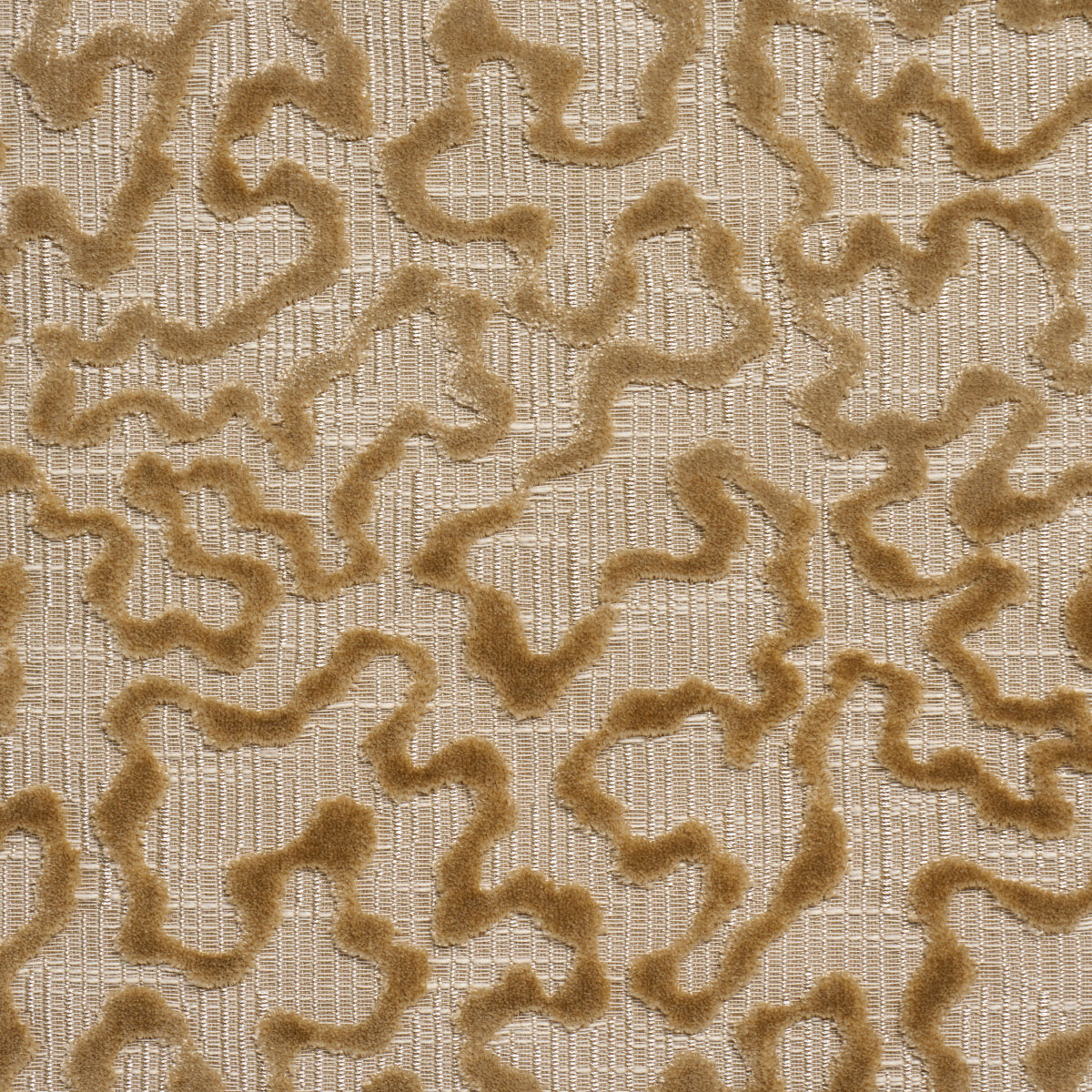 JANIS-VELVET-CHAMPAGNE-SCHUMACHER-75224 - Schumacher Fabric