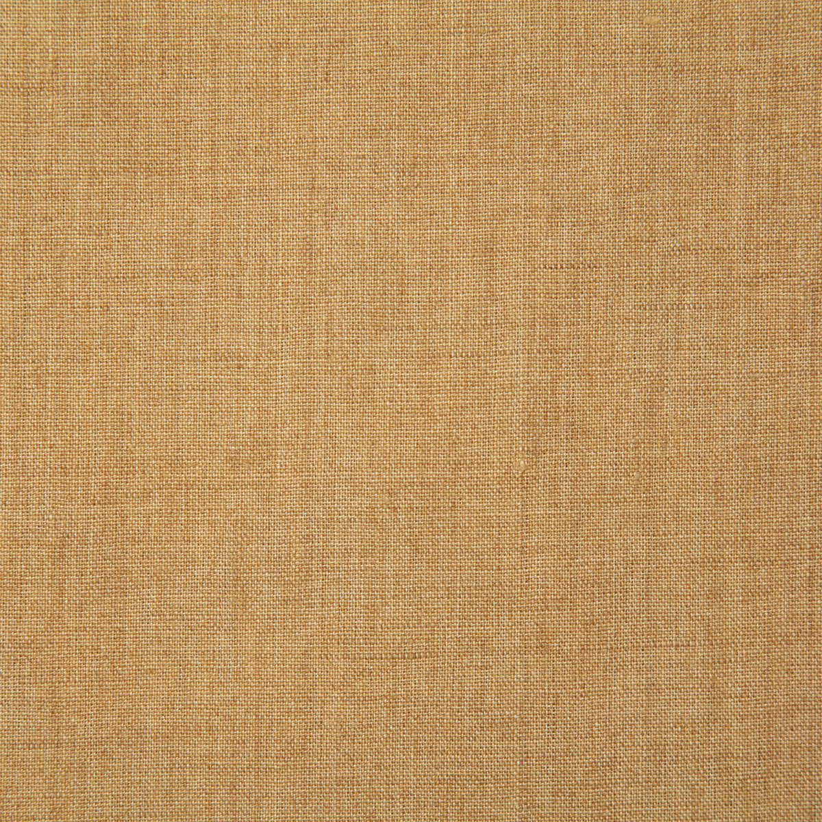 7646-linette-gold-pindler - Pindler Tela