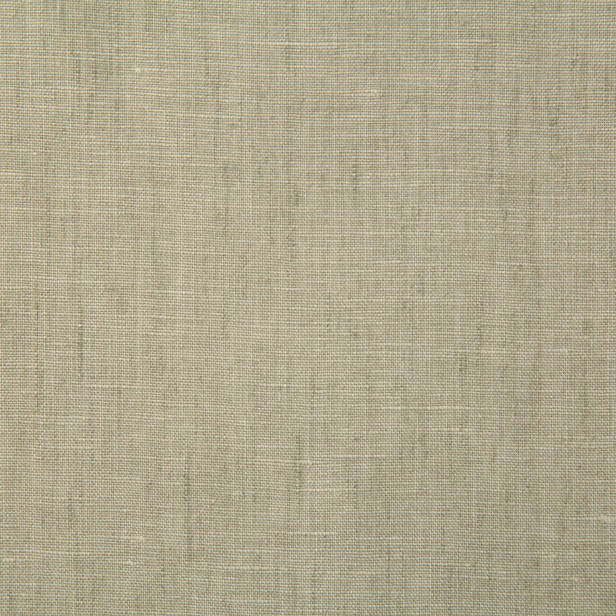 7646-linette-haze-pindler - Pindler Tela